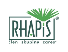 rhapis_1